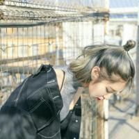 沐兮